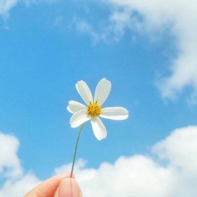 bat365app手机版下载