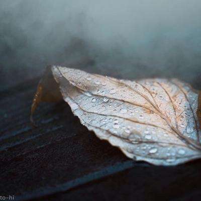 bat365app手机版下载